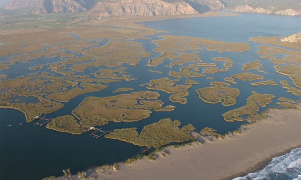 fethiye-safari-dalyan-7-870x555